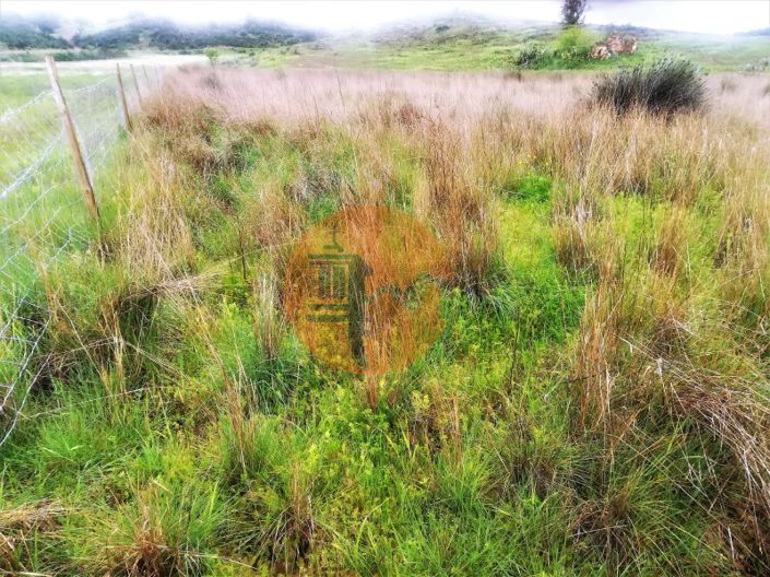 Image No.29-Plot for sale