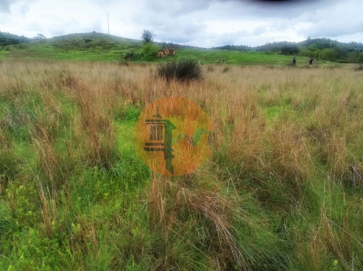 Image No.31-Plot for sale