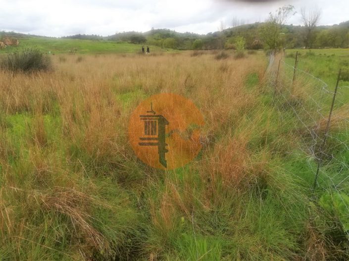 Image No.33-Plot for sale