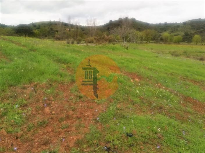 Image No.39-Plot for sale