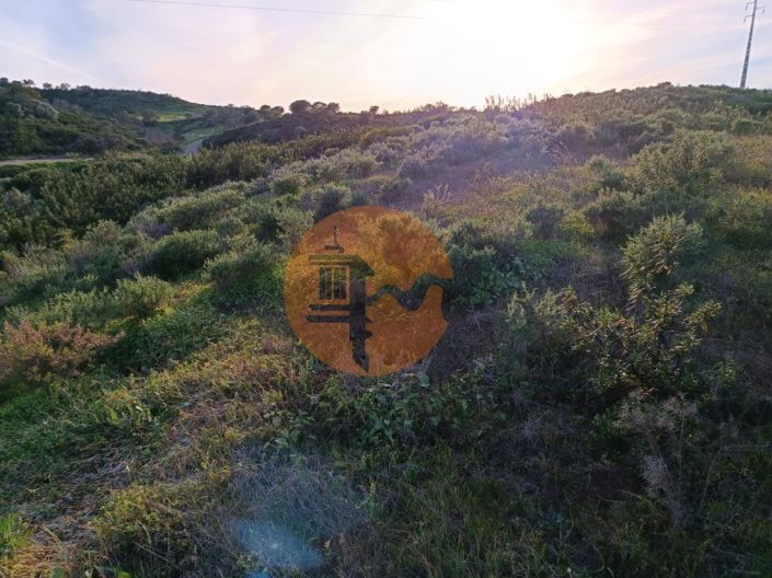 Image No.42-Plot for sale