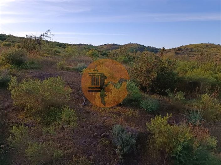 Image No.43-Plot for sale