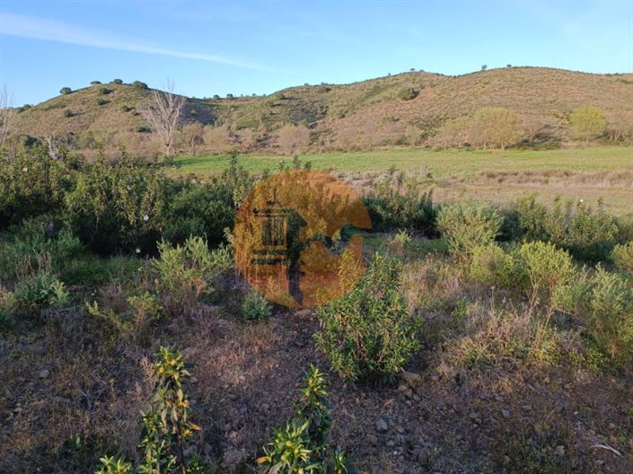 Image No.45-Plot for sale