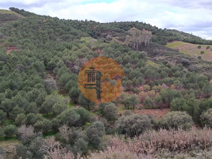 Image No.18-Plot for sale