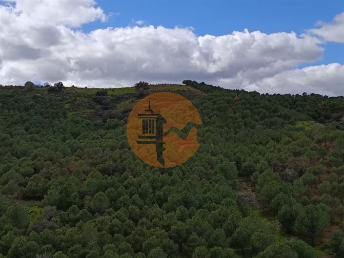 Image No.22-Plot for sale