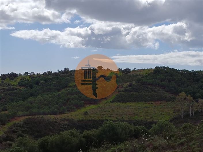 Image No.27-Plot for sale