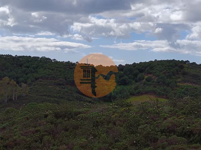 Image No.29-Plot for sale