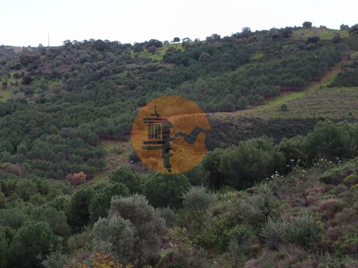 Image No.30-Plot for sale