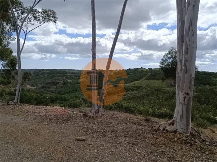 Image No.31-Plot for sale