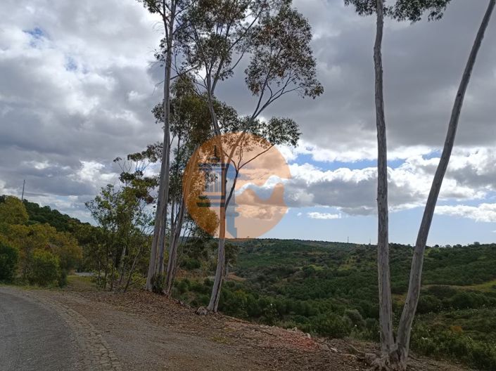 Image No.32-Plot for sale