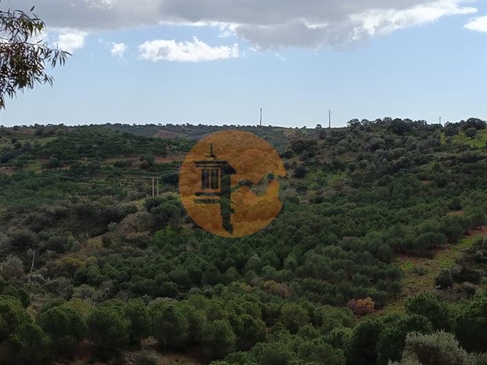 Image No.34-Plot for sale