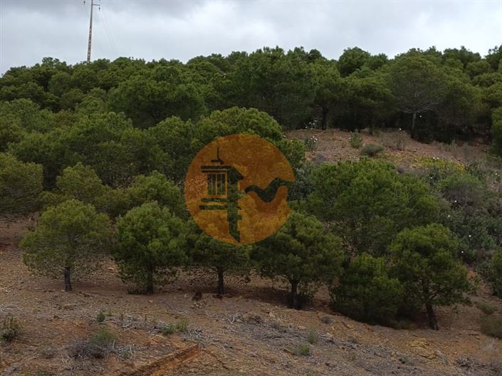 Image No.6-Plot for sale