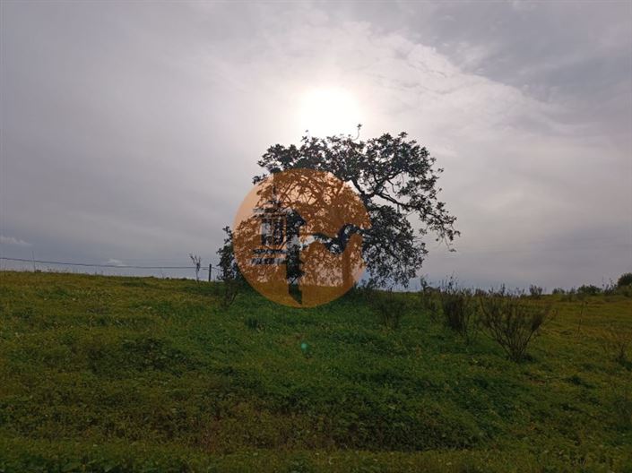 Image No.12-Plot for sale