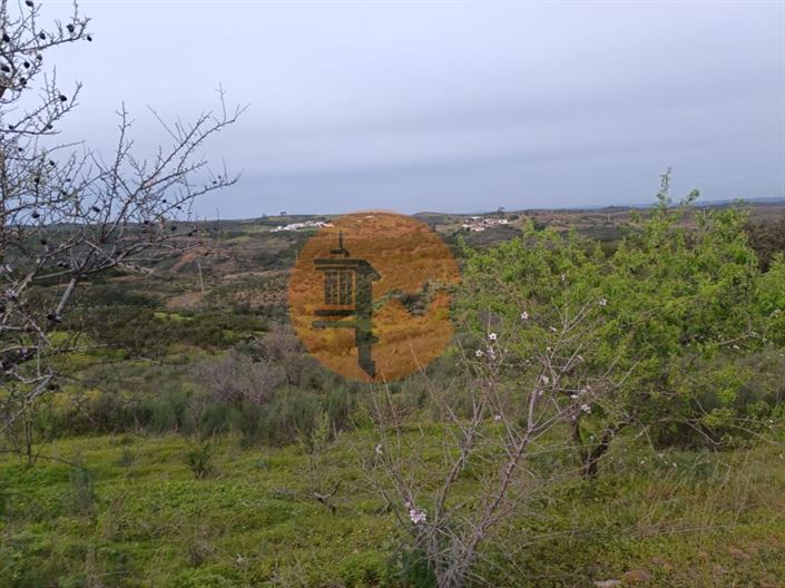 Image No.14-Plot for sale