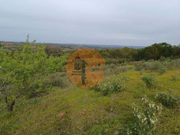 Image No.18-Plot for sale