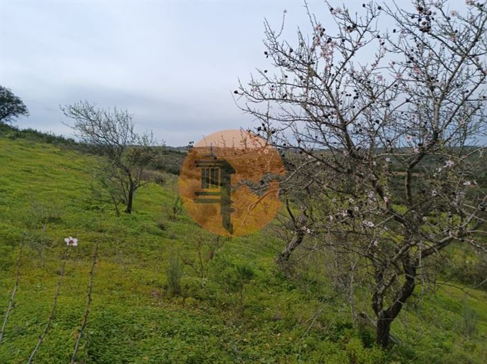 Image No.20-Plot for sale