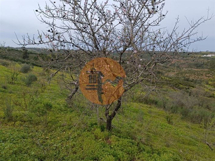 Image No.24-Plot for sale