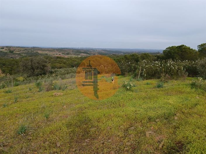 Image No.32-Plot for sale