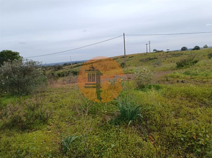 Image No.34-Plot for sale