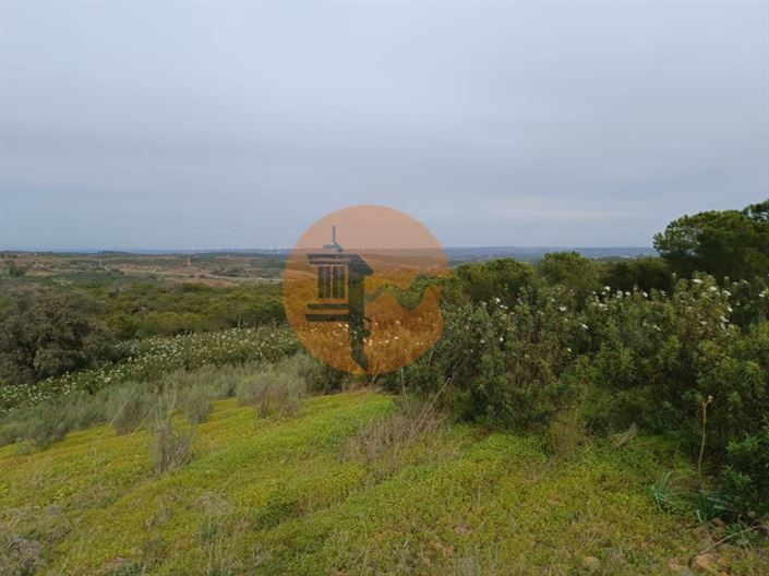 Image No.36-Plot for sale