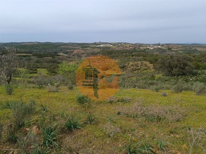 Image No.38-Plot for sale