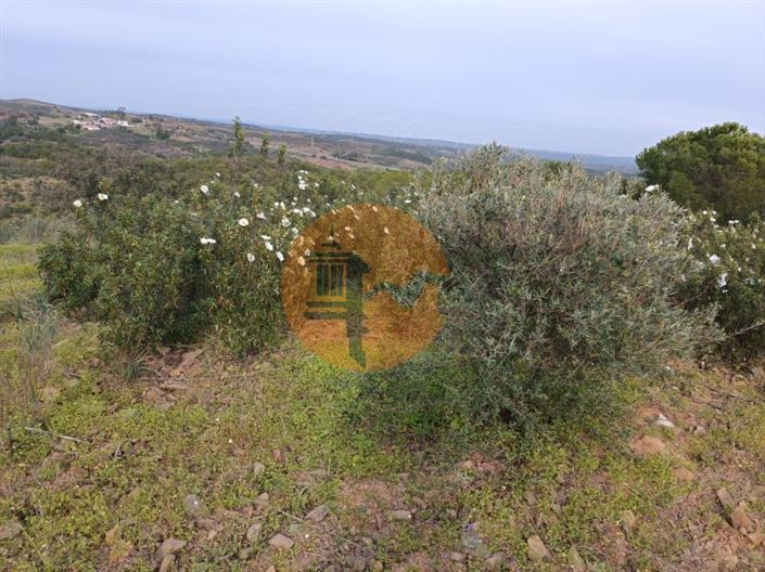 Image No.39-Plot for sale