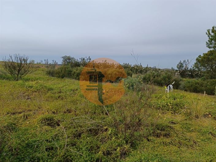 Image No.41-Plot for sale