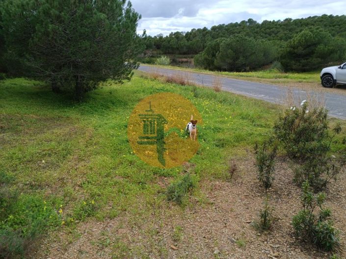 Image No.10-Plot for sale