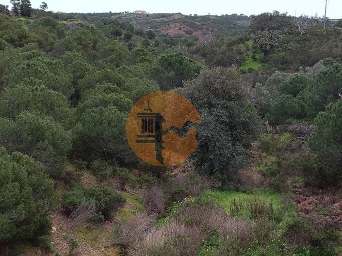 Image No.12-Plot for sale