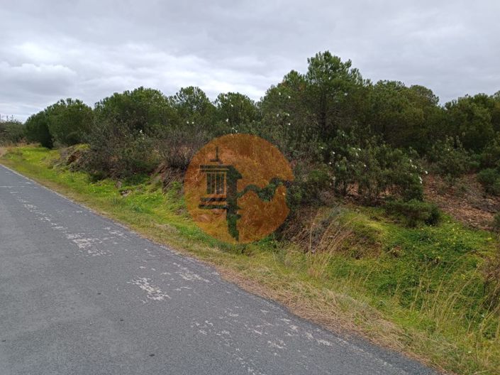 Image No.13-Plot for sale