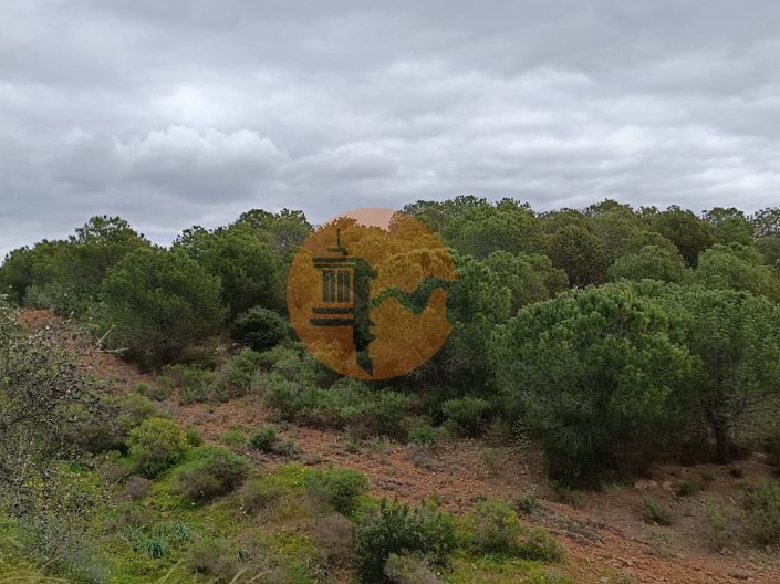 Image No.15-Plot for sale