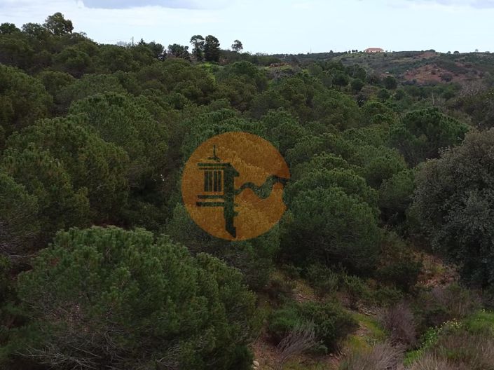 Image No.17-Plot for sale