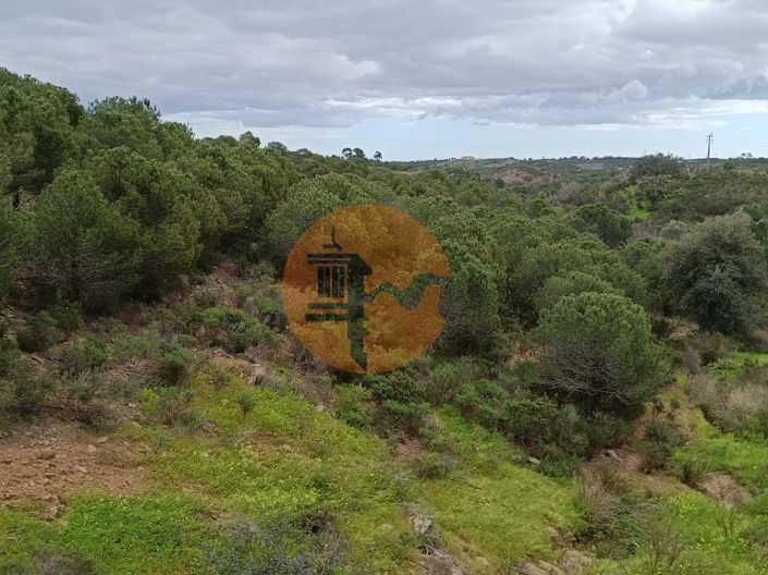 Image No.18-Plot for sale