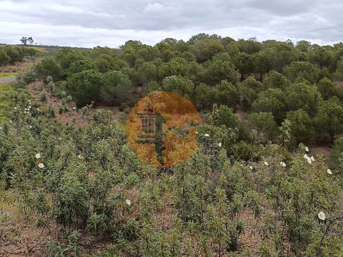 Image No.26-Plot for sale