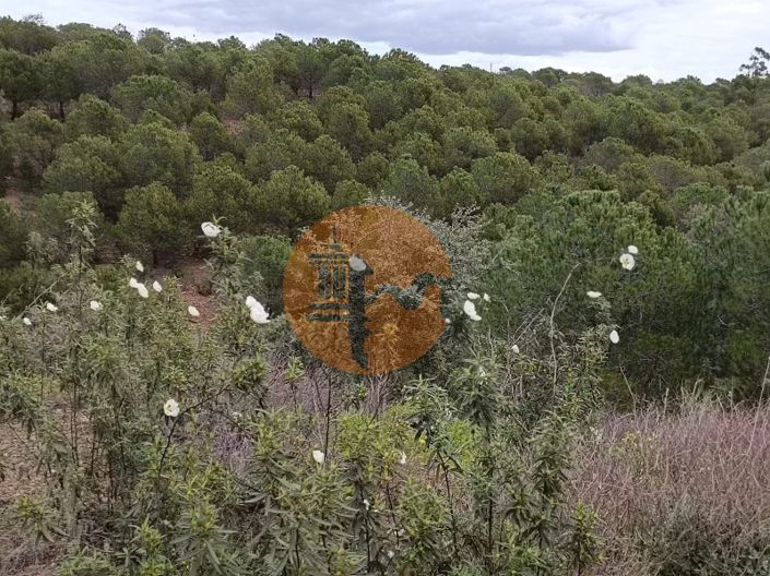 Image No.29-Plot for sale