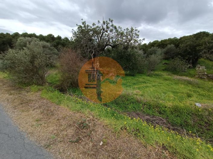 Image No.33-Plot for sale