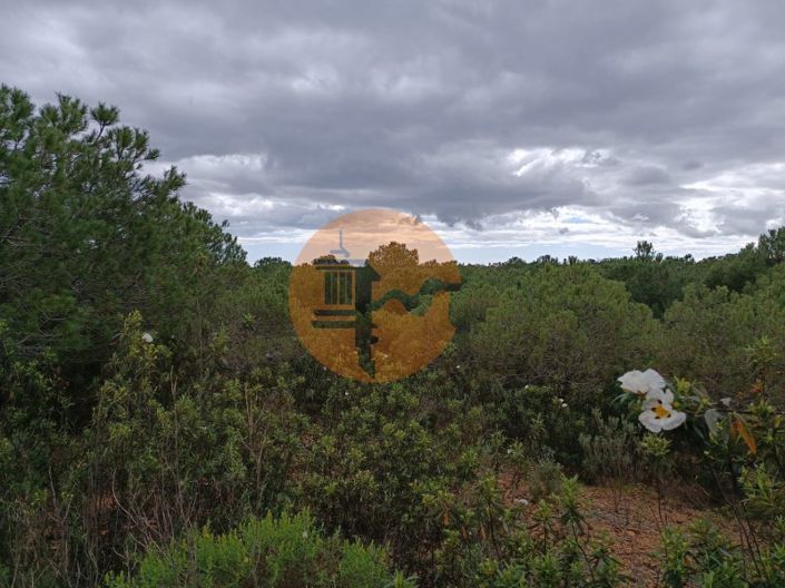 Image No.5-Plot for sale