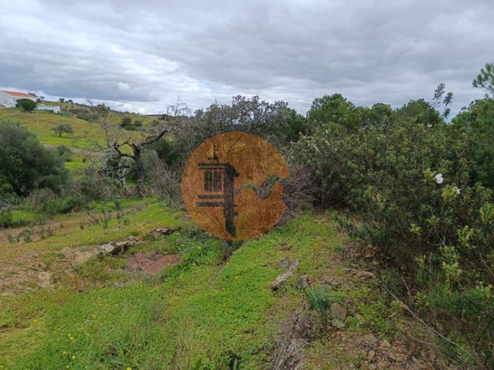 Image No.7-Plot for sale