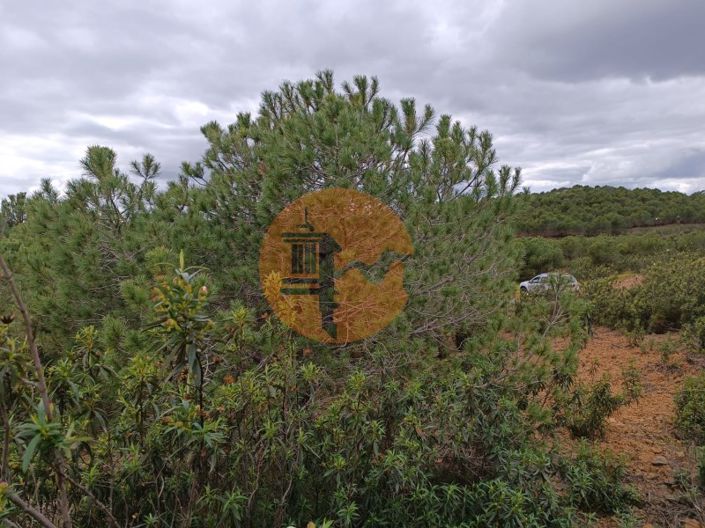 Image No.8-Plot for sale