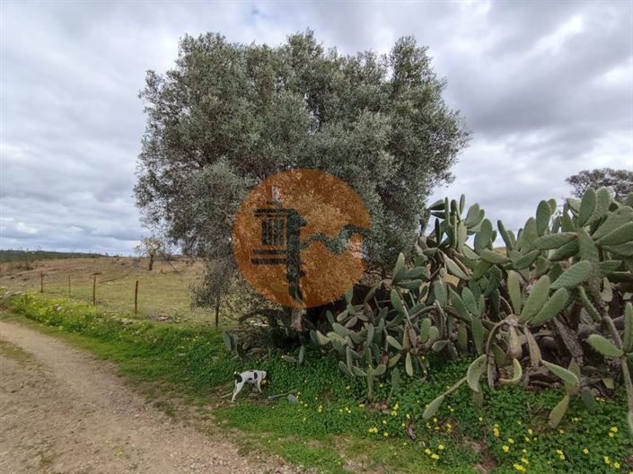 Image No.16-Plot for sale