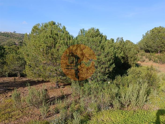 Image No.12-Plot for sale