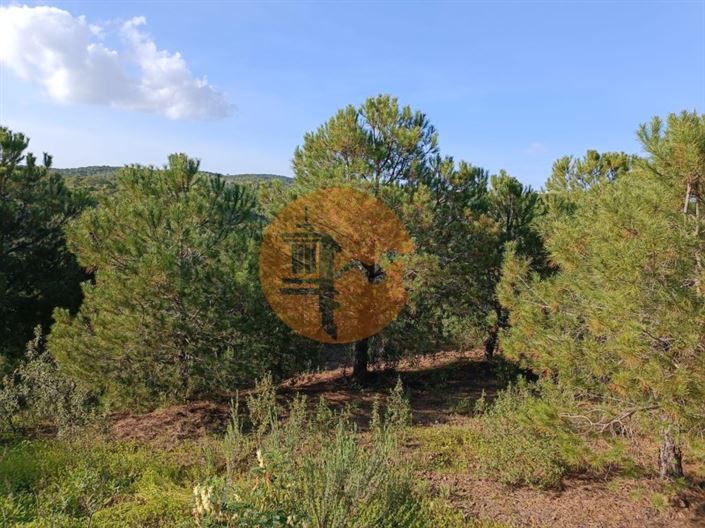 Image No.14-Plot for sale