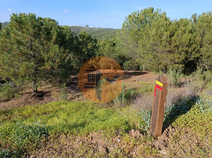 Image No.15-Plot for sale