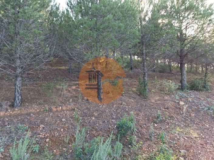 Image No.16-Plot for sale