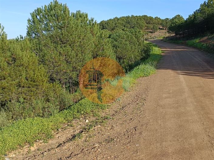 Image No.18-Plot for sale