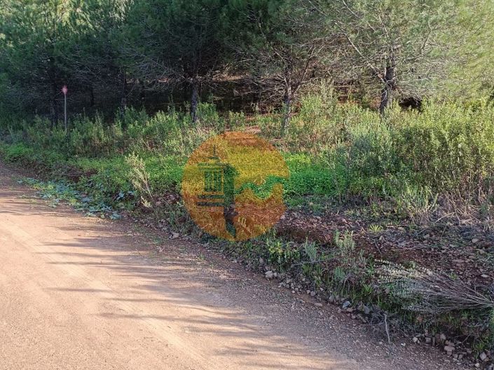 Image No.19-Plot for sale