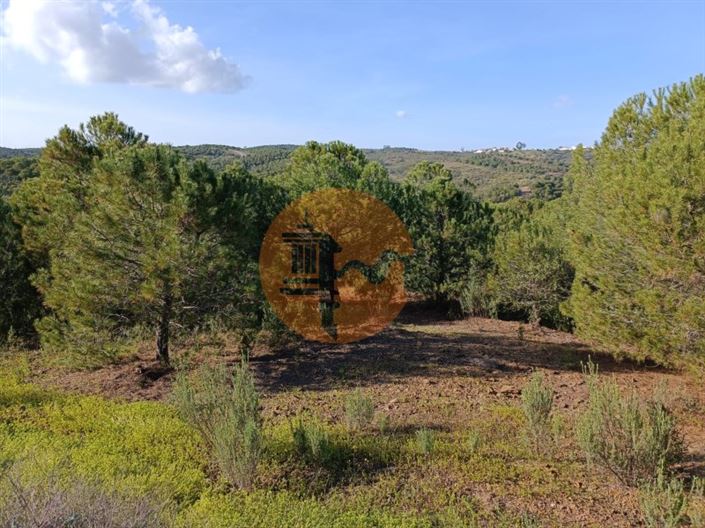 Image No.20-Plot for sale