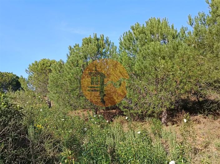 Image No.21-Plot for sale