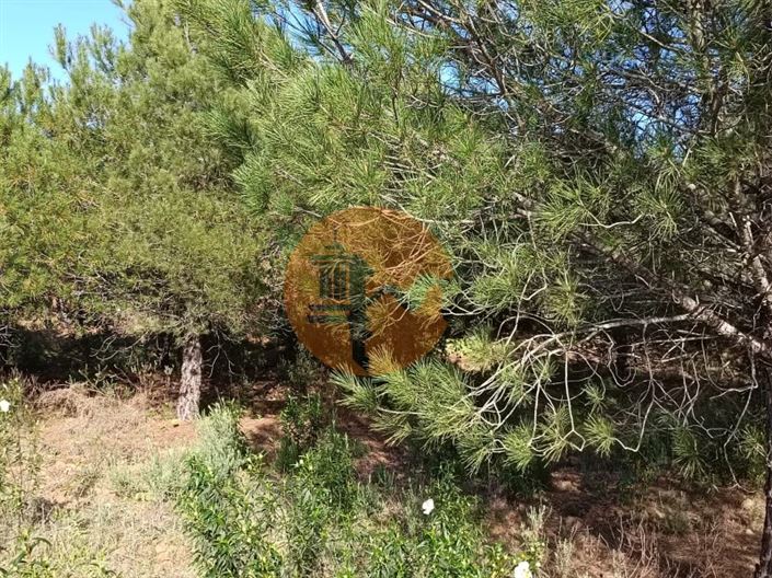 Image No.23-Plot for sale