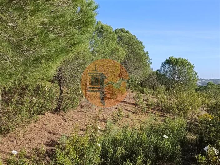 Image No.24-Plot for sale